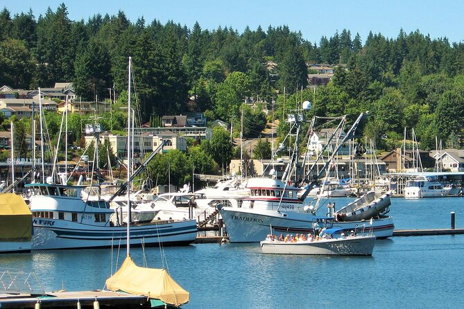 2 Hour Guided Boat Tour in Gig Harbor and Narrows Bridges - Commentary that makes the scenery matter