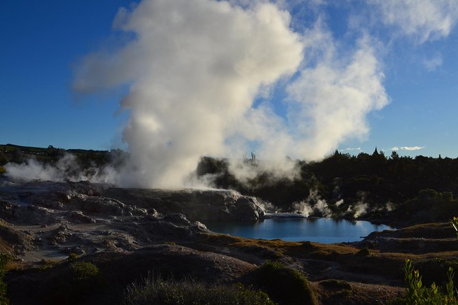 7 Hours Te Puia Rotorua Tour from Tauranga with Concert - Five things to know before you book