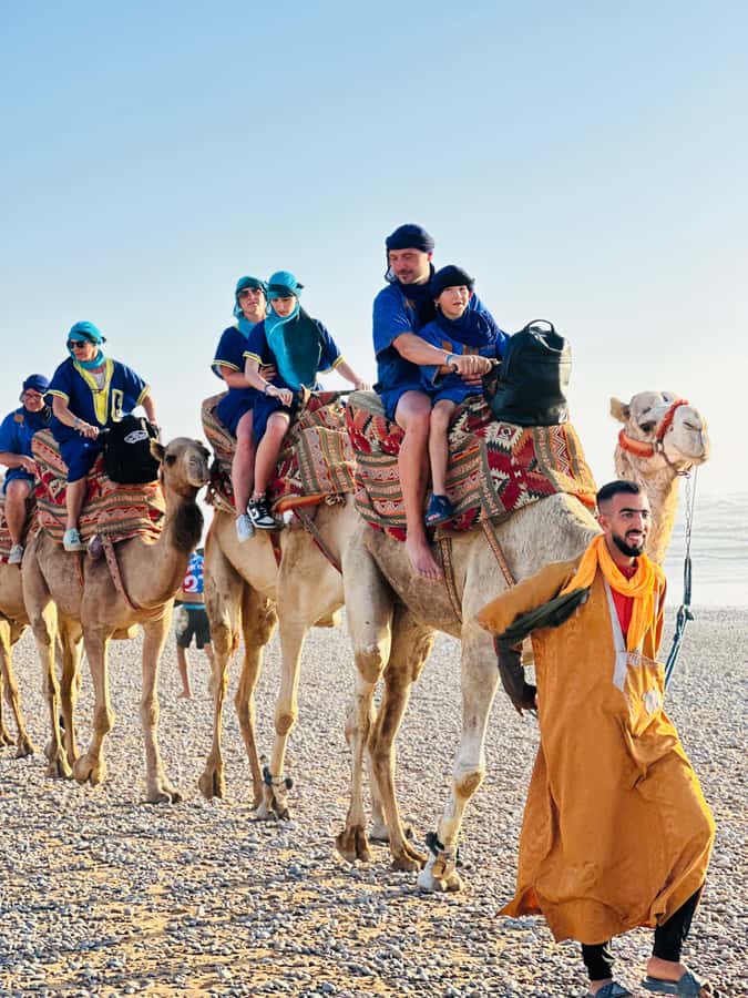 Agadir/Taghazout: Sunset Camel Ride with BBQ and Music Show - Who will enjoy this Tamri evening most?
