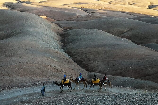 Agafay Desert Camel Ride from Marrakech with Dinner & Live Music - Comfort, timing, and practical limits