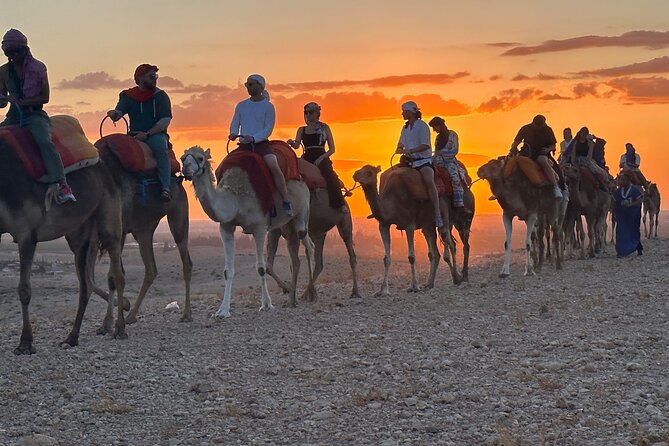 Agafay Desert Luxury, Quad, Camel, Pool, Dinner Show and Concert - Quick reasons to consider this evening