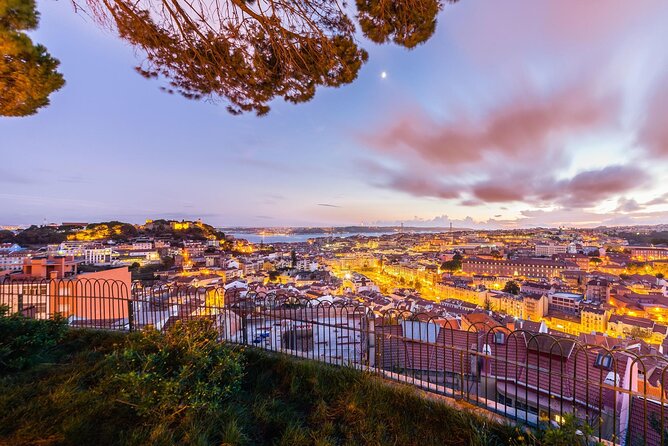 Authentic Alfama Experience: Fado Music and Cultural Walking Tour - Who will enjoy this night most?