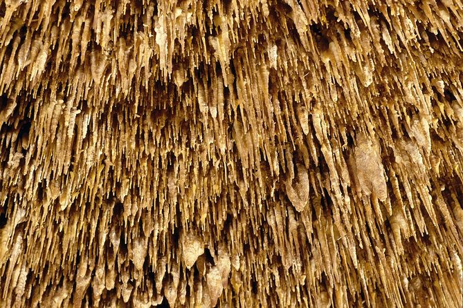 Caves of Drach Half-Day Tour with Boat Trip and Music Concert - Majorica pearls and the final half hour