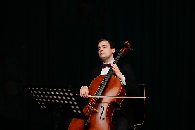 Concert at House of Music Vienna: Mozart, Strauss & the Masters - Watching the musicians at close range