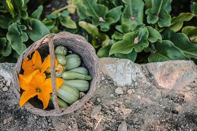 Cooking Experience Live Music and Traditional Dance in Naxos - Who will enjoy this Naxos cooking experience most