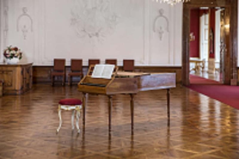 DomQuartier Salzburg: Date with Mozart! Afternoon concerts at the Residenz - Key points before you book