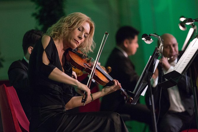 Exclusive Evening at Schönbrunn Palace: After-Hours Audiotour, Dinner, Concert - Who should book this Schönbrunn evening?
