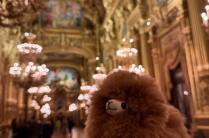Exclusive Opera Garnier Private Guided Tour - Art, Architecture, and the Stories Behind the Curtains
