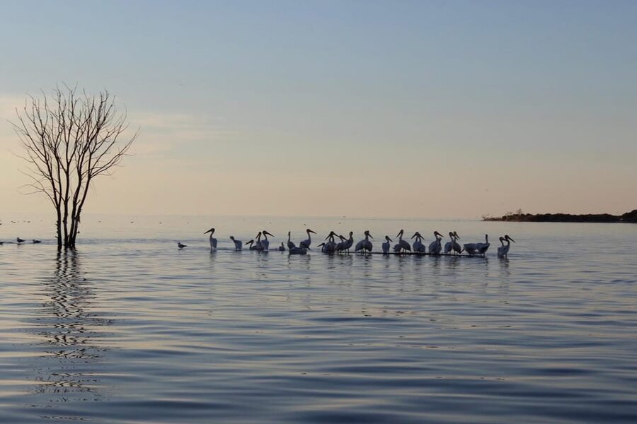 Fish Creek, WI: Sunset Live Music Cruise - What the $47 price gets you