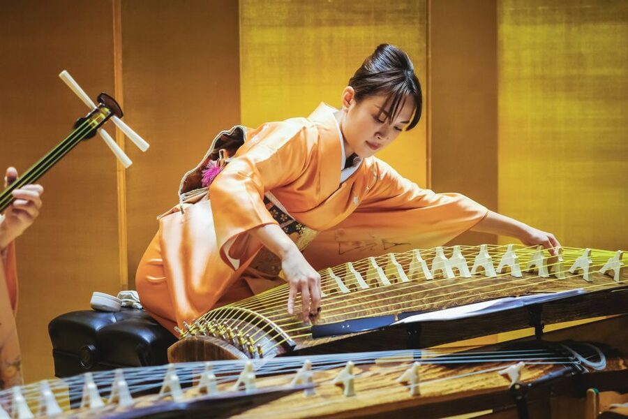 Japanese Traditional Music Show in Tokyo - Who should book this performance?