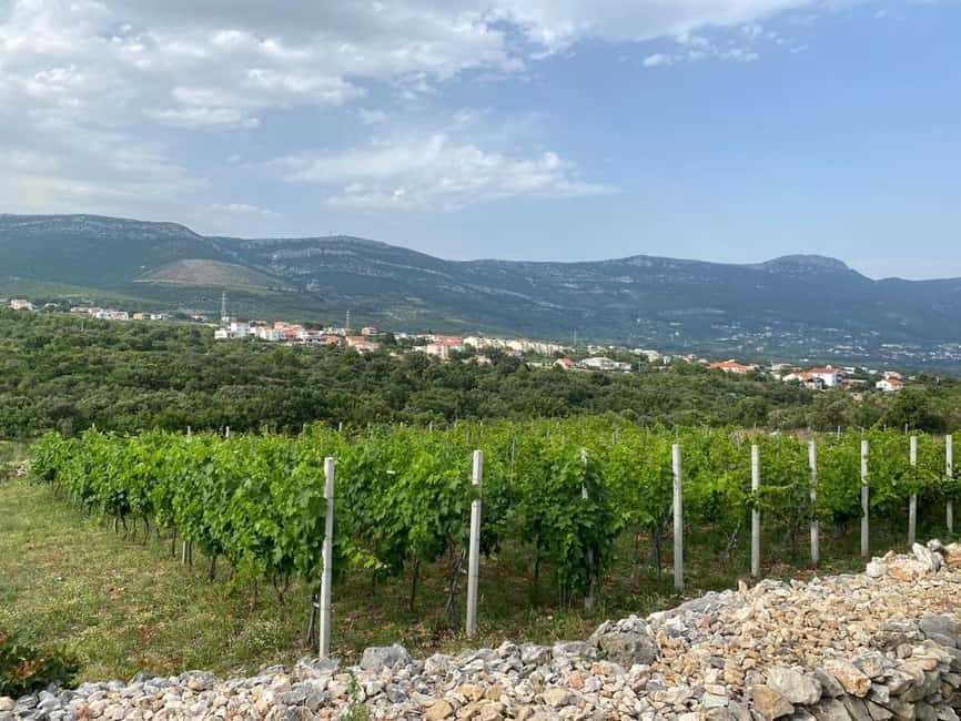 Kastela: Wine & Olive Tasting Tour w/Delicacies & Live Music - Key details at a glance