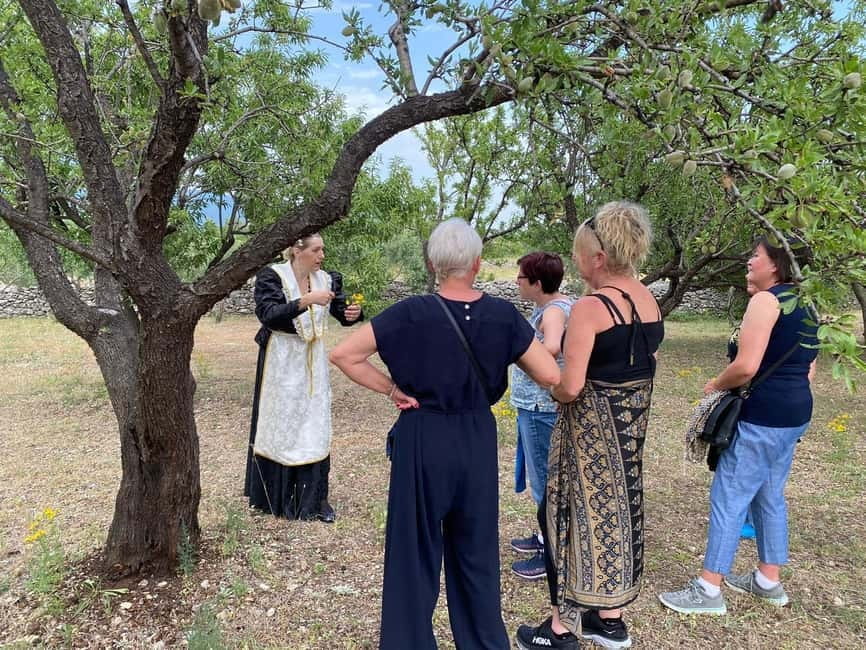 Kastela: Wine & Olive Tasting Tour w/Delicacies & Live Music - Why Bijaći adds more than a scenic backdrop