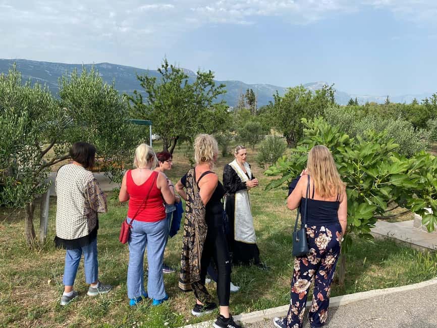 Kastela: Wine & Olive Tasting Tour w/Delicacies & Live Music - Inside the wine cellar: from grapes to bottle
