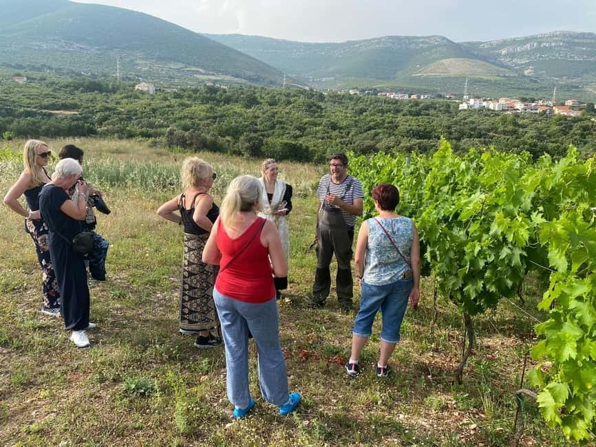 Kastela: Wine & Olive Tasting Tour w/Delicacies & Live Music - Kathrin’s hosting and the live accordion music