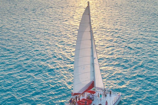 Key West Signature Sunset Sail with Live Music, Open Bar & Food - Drinks: the main value of the ticket