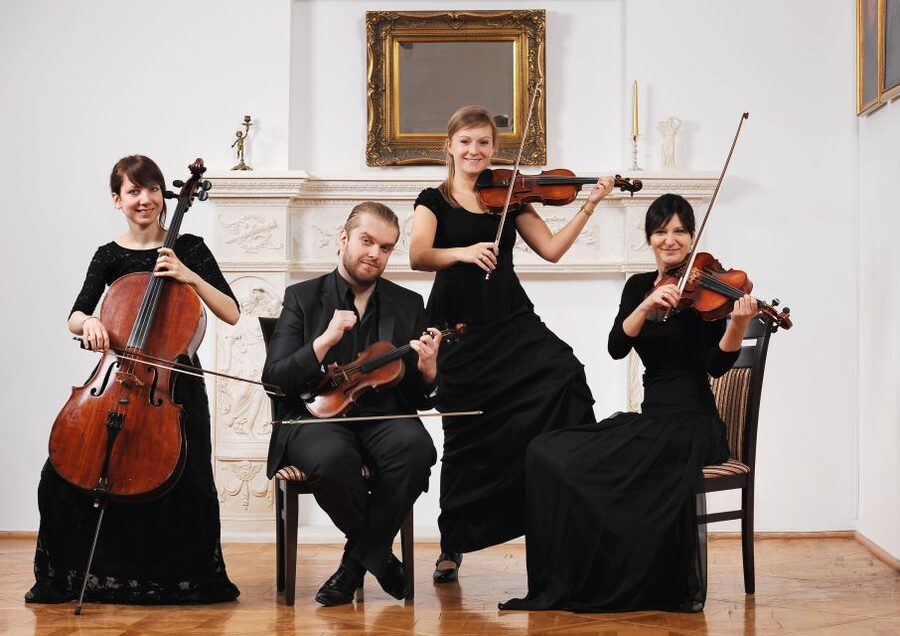 Krakow: Christmas Music Concert With Wine - The Royal Chamber Orchestra and its sound
