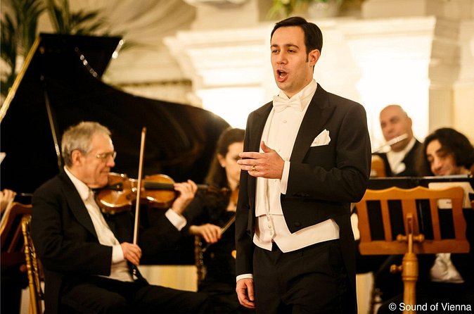 Kursalon Vienna: Strauss and Mozart Concert With Dinner - Choosing standard or VIP seating