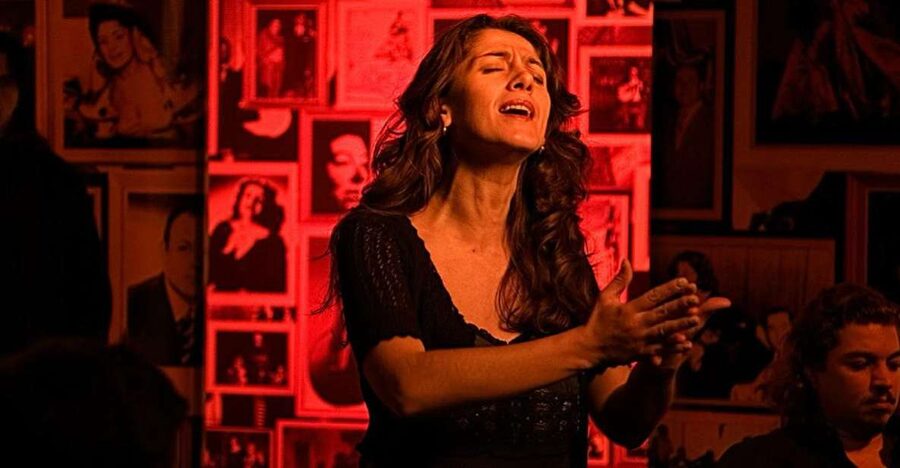 Lisbon: Alfama Tour and Live Fado with Traditional Dinner - A two-and-a-half-hour dinner and Fado evening