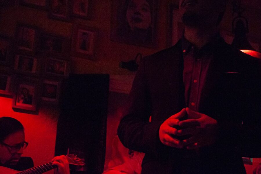 Lisbon: Alfama Tour and Live Fado with Traditional Dinner - What Fado sounds like in the room