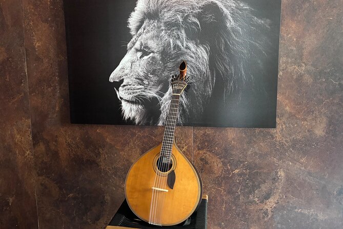 Lisbon: Authentic Live Fado Show in Alfama With Port Wine - What Mario adds to the performance