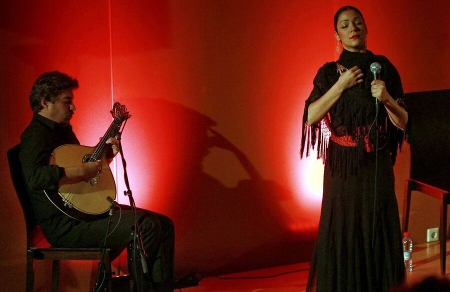Lisbon: Evening City Tour with Dinner and Live Fado Show - Crossing the city toward Belém