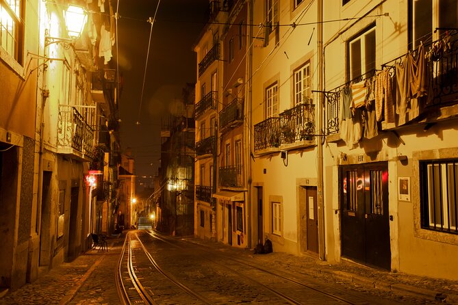 Lisbon Fado Dinner Show and Panoramic Night Tour - Who should book this experience