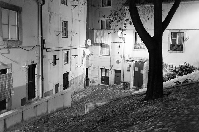 Lisbon Fado Walking Tour (with a Fado singer) - Why this fado walk feels different from a regular concert