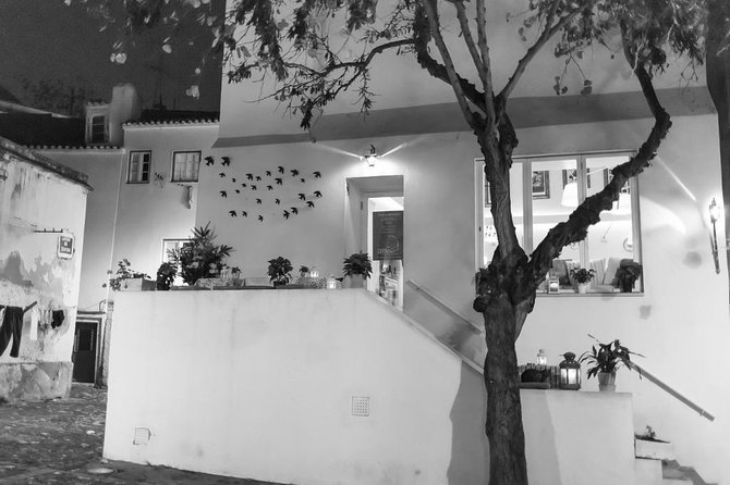 Lisbon Fado Walking Tour (with a Fado singer) - Who will enjoy this evening most