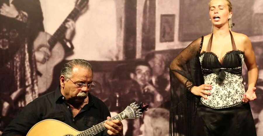Lisbon: Half-Day Night Group Tour w/ Fado Dinner Show - What the four-hour schedule really gives you