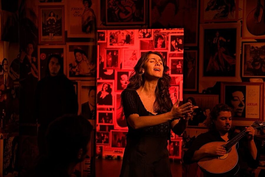 Lisbon: Half-Day Night Group Tour w/ Fado Dinner Show - Who should choose this Lisbon night tour?