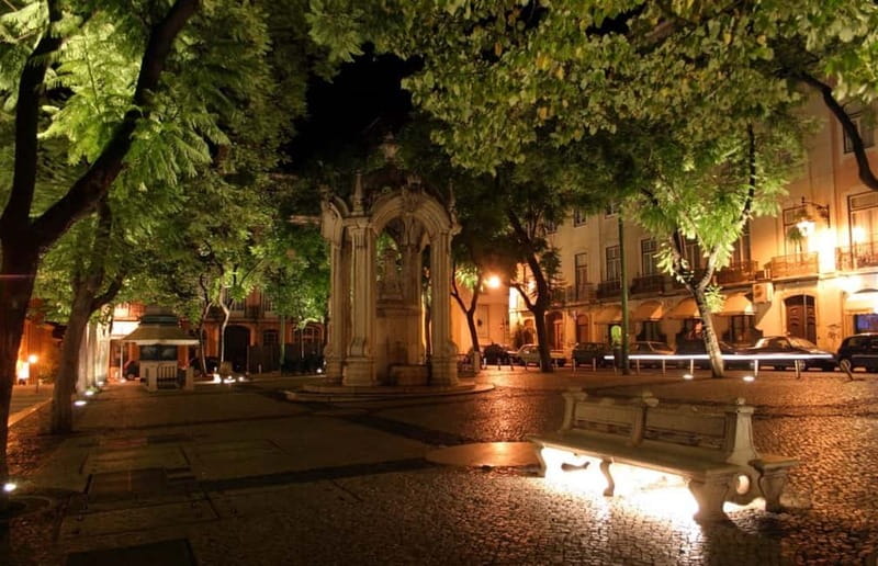 Lisbon: Private Night Tour with Fado Dinner Show - Is this private Fado night worth booking?