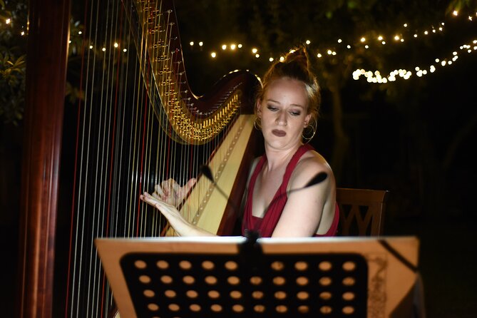Live Opera Concert and Wine Tasting in Florence - What $129.89 buys you