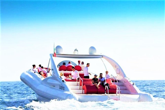 Luxury Opera 60 Whale & Dolphin Watching Experience - Key points at a glance