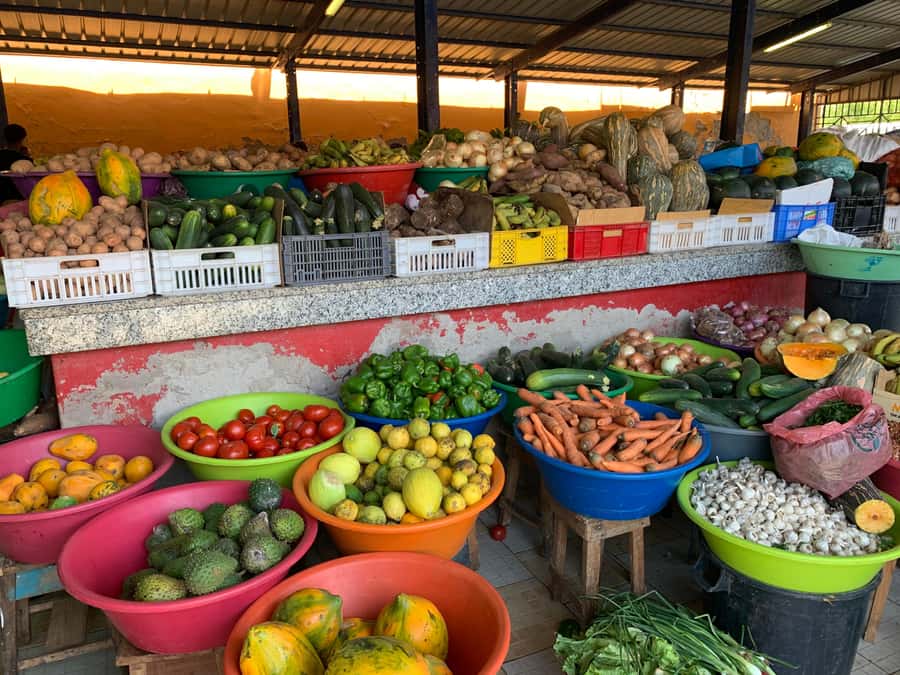 Mindelo Cultural: city tour with live music and tasting - Should you book Mindelo Cultural?