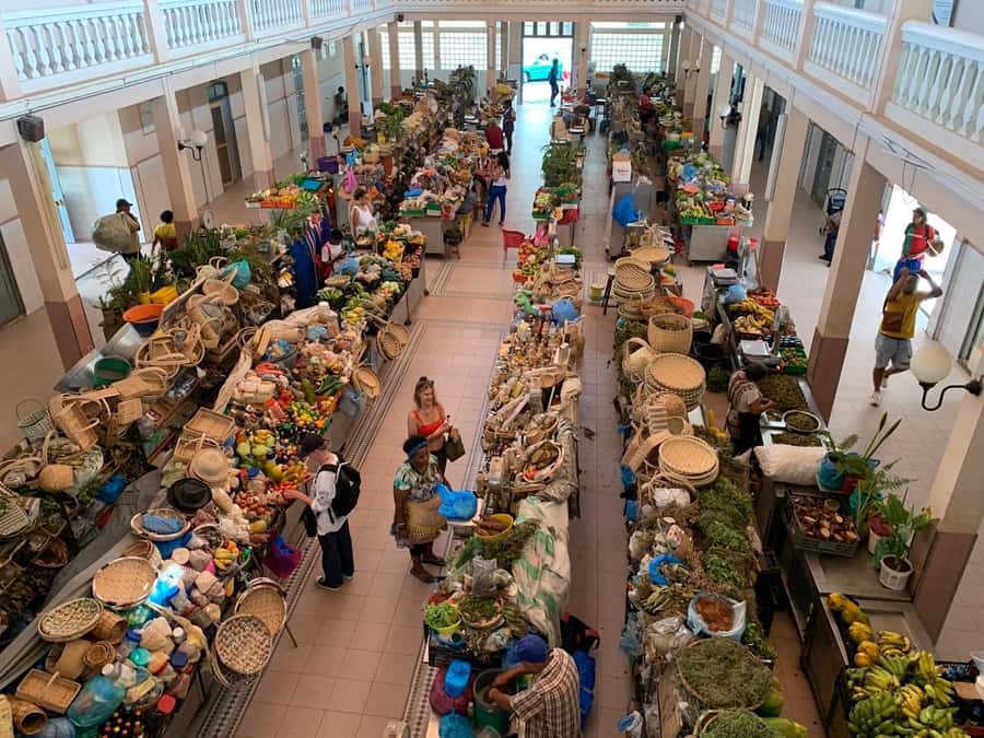 Mindelo Cultural: city tour with live music and tasting - Practical details that affect your day