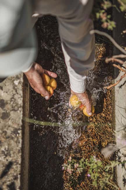 Naxos: Family Farm-table Cooking, Kouros Tour & Live Music - Learning a few local dances