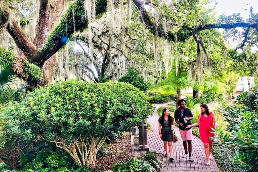 New Orleans: City Tour & Steamboat Daytime Jazz Cruise Combo - Timing, comfort, and practical details