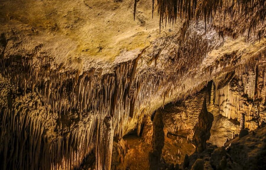 Palma: Caves of Drach Entrance, Music Concert, and Boat Trip - Why the Caves of Drach are worth the trip from Palma