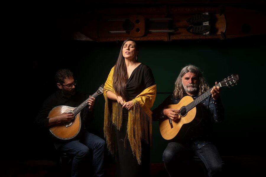 Porto: Authentic Fado Concert With Port Wine & Views - Who should book this Fado evening?
