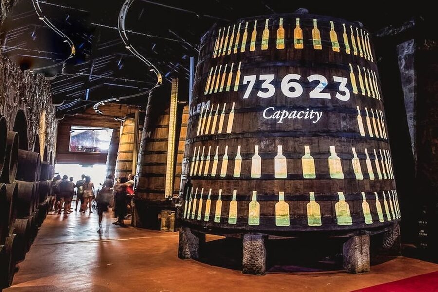 Porto: Cálem Cellar Tour, Fado Show & Wine Tasting - Fado with Portuguese guitar and classical guitar