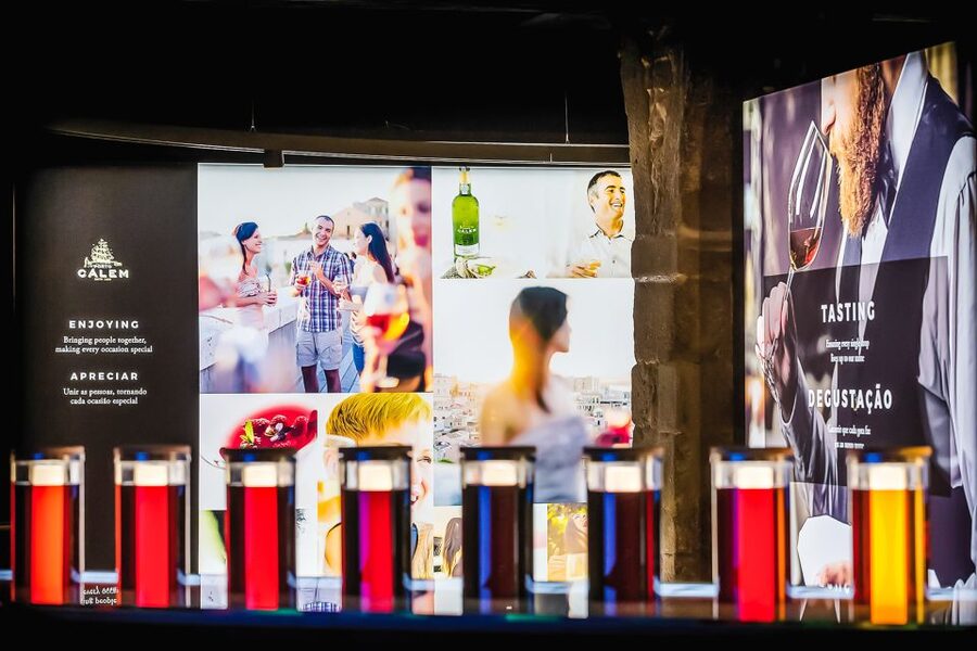 Porto: Cálem Cellar Tour, Fado Show & Wine Tasting - Inside the Cálem cellars in 30 minutes