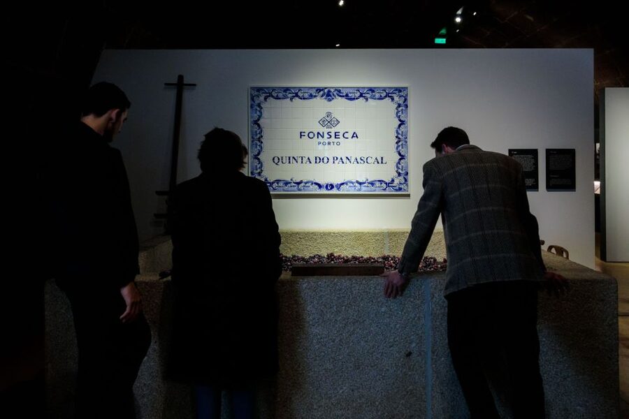Porto: Fonseca Cellar Tour & Fado Show with Optional Dinner - Should you book it?