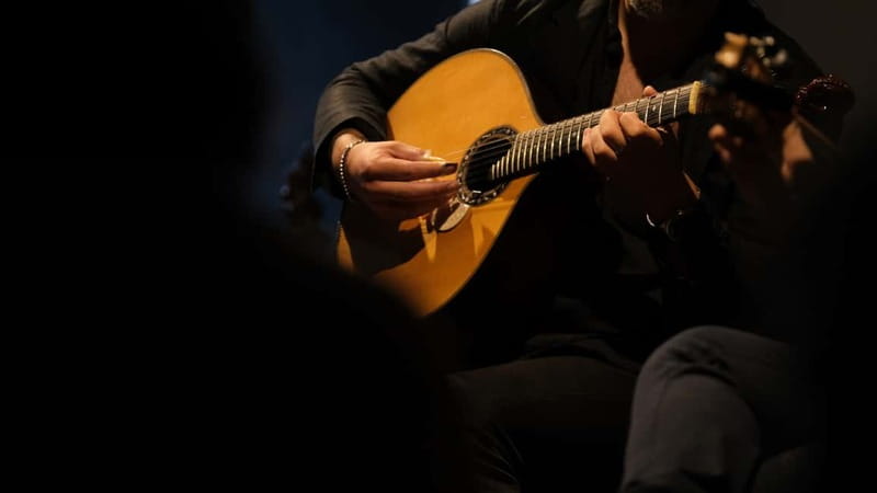 Porto: The highest-rated traditional fado concert (downtown) - What the opening introduction adds