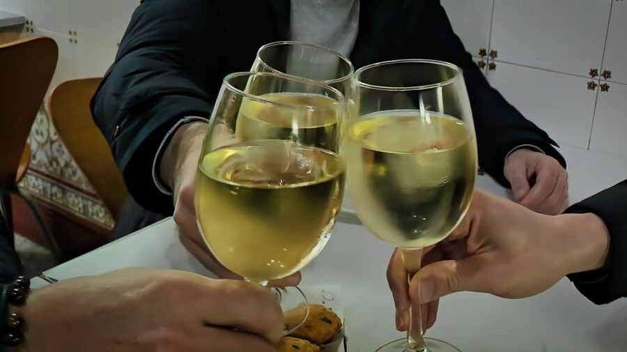 Porto: Wine Tour & One Hour Fado Show | All Included - How the guide affects the evening