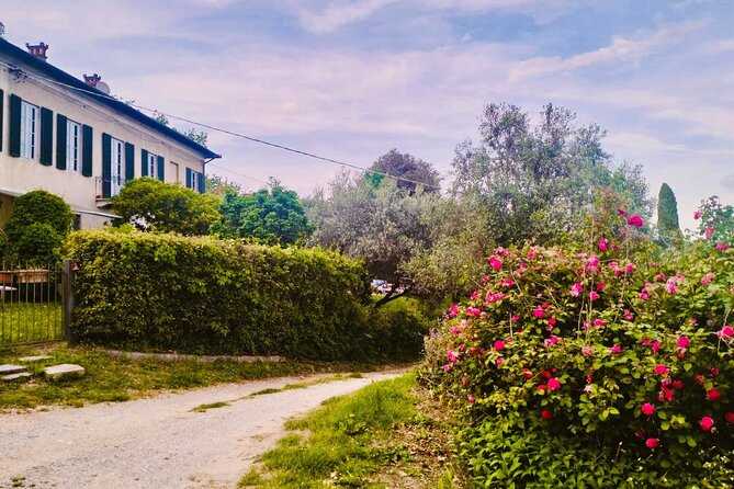 Private Concert in the Artist's House on the Hills of Lucca - Wine and small bites before the concert