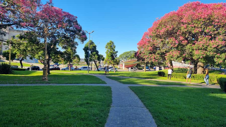 Recoleta Walking Tour and Live Jazz Show - Why This Recoleta Evening Works