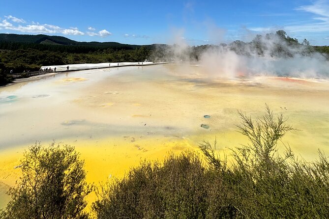 Rotorua: WaiOtapu & Redwood forest & Blues springs from Auckland - Wai-O-Tapu and the bright colors of geothermal Rotorua