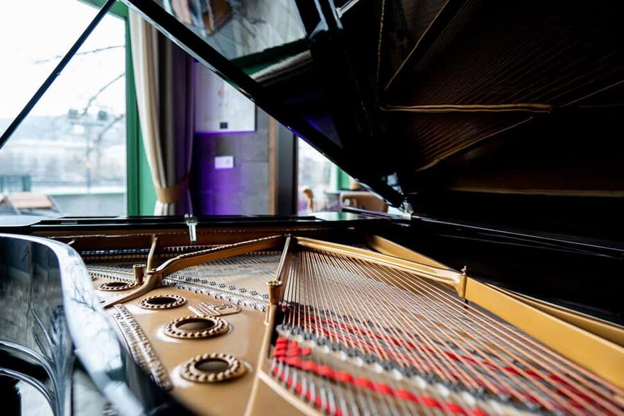 Sinatra Tribute. Concert & dinner. - Who will enjoy this evening most