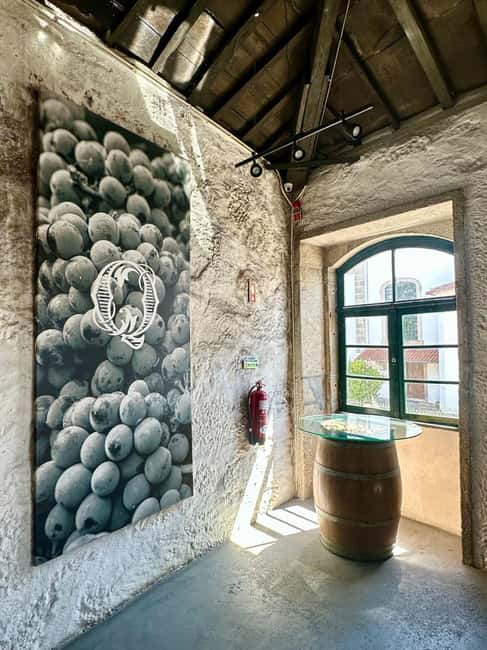 Soul of Portugal: an immersive experience of fado, wine, and tradition - Key points to know before you book