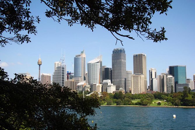 Sydney Half Day Private Tour: See Sydney Opera House and Bondi - Key points before you book
